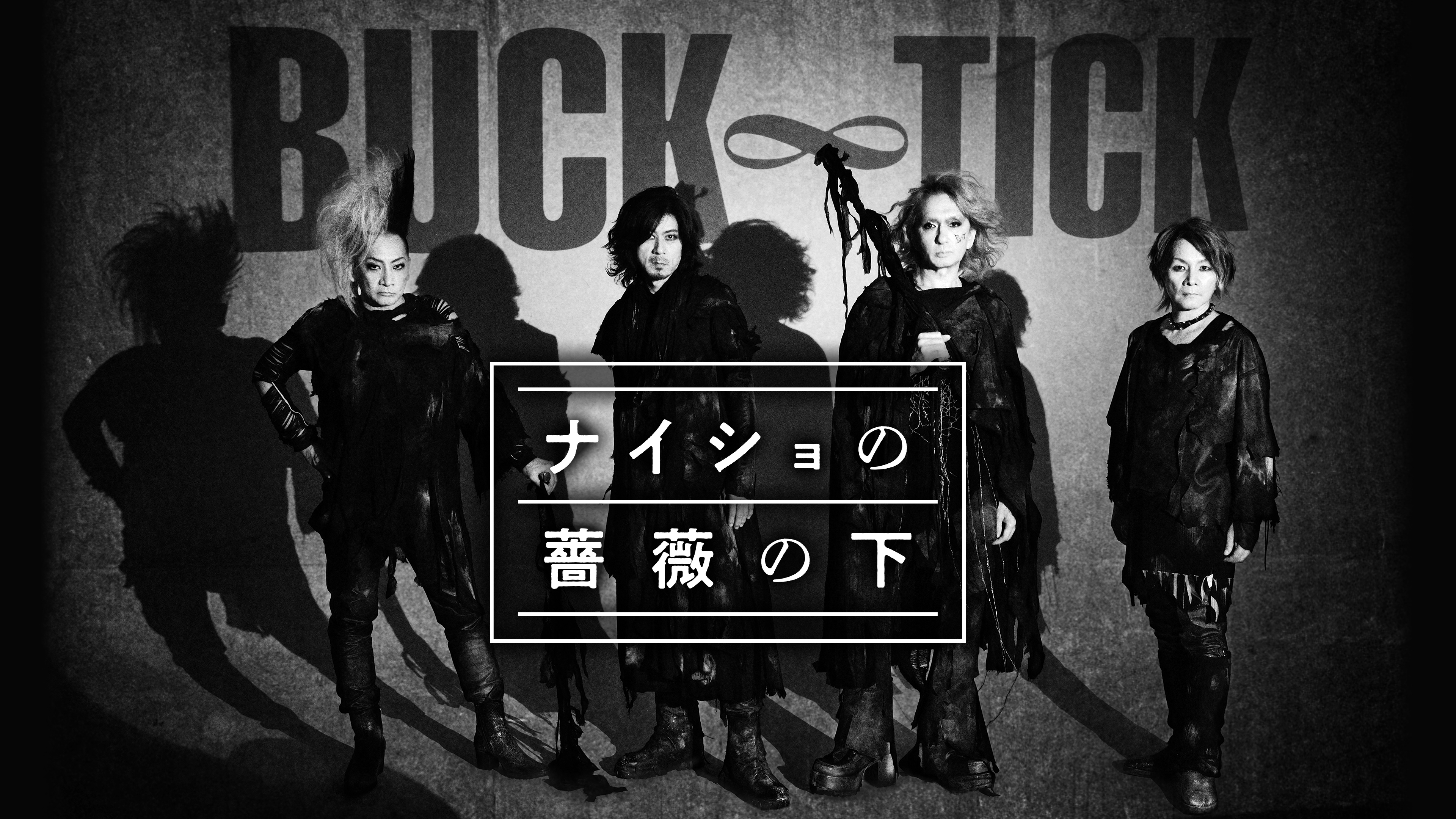 BUCK-TICK ナイショの薔薇の下　ハロウィンT　Mサイズ　新品未開封 BUCK-TICK ナイショの薔薇の下 ハロウィンT Mサイズ 新品未開封 ナイショの