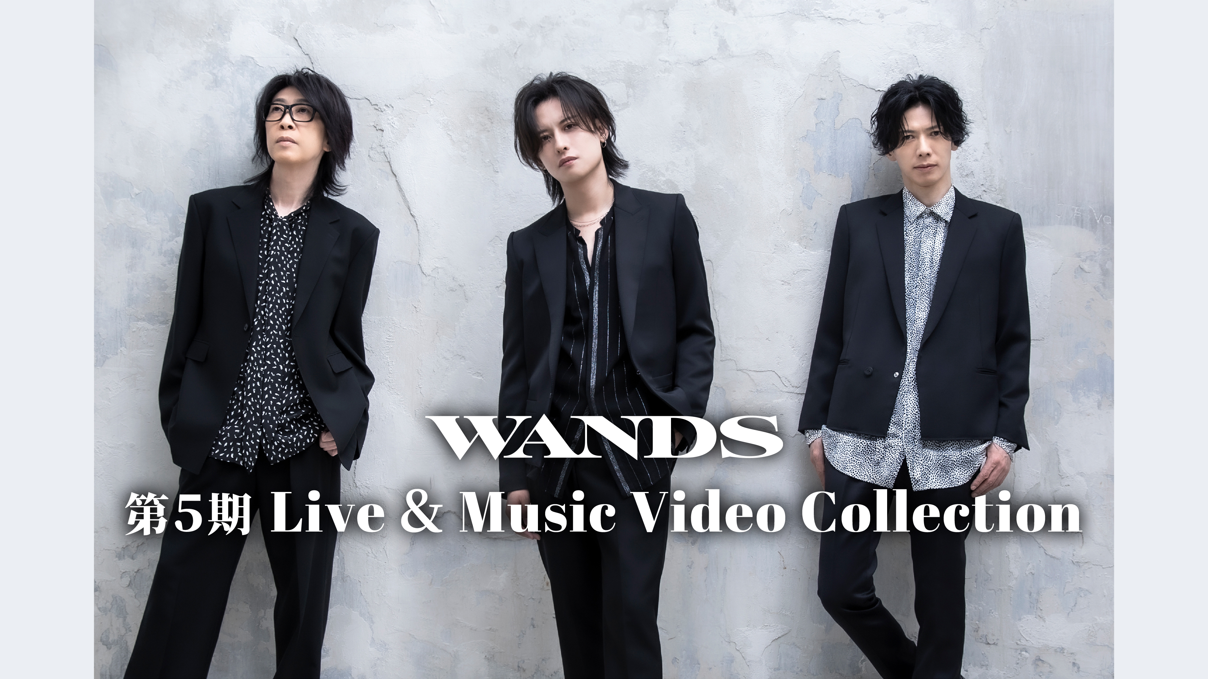 WANDS 5期 WANDS 第5期 Live & Music Video Collection | WOWOWオン