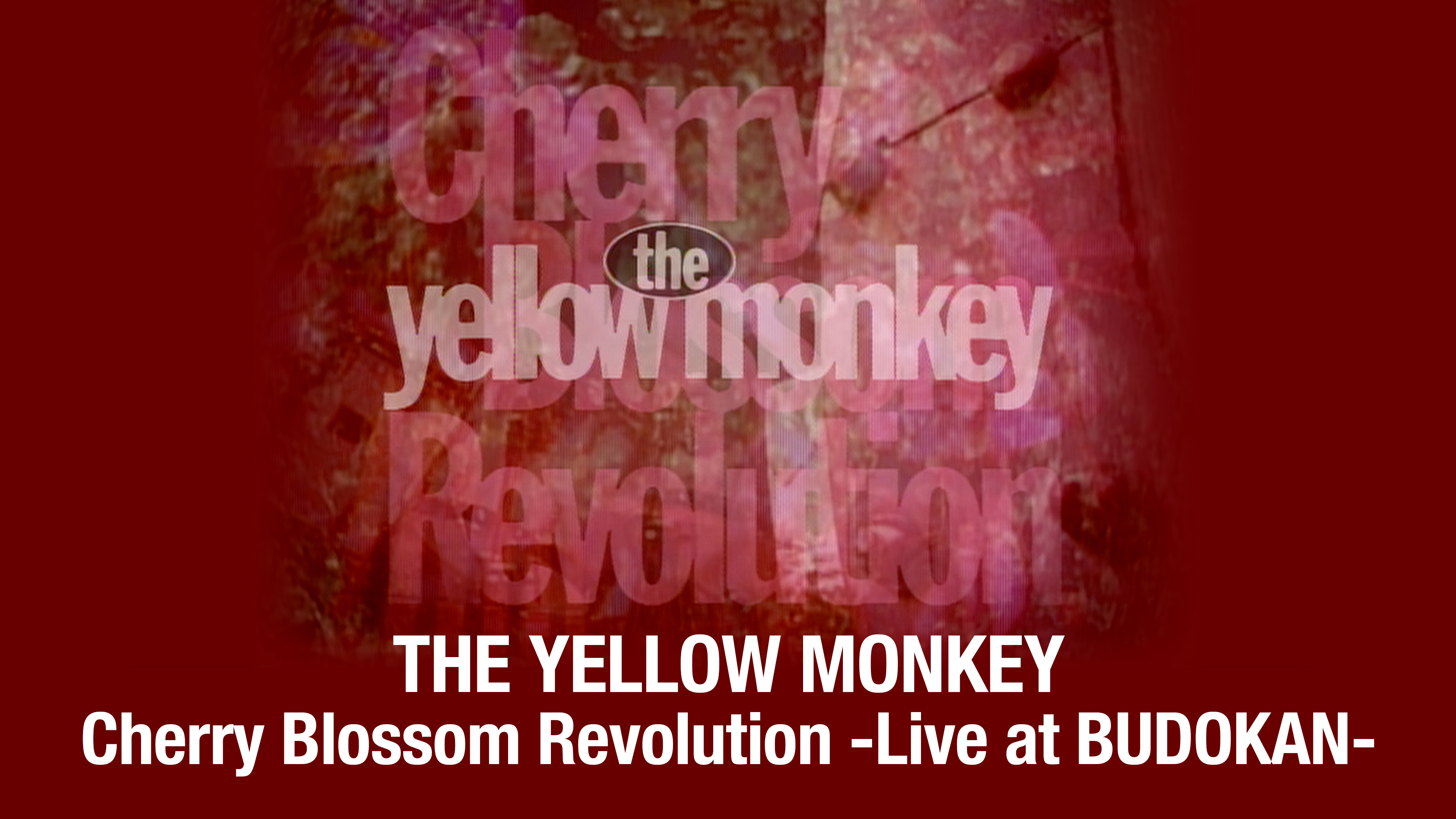 THE YELLOW MONKEY Cherry Blossom Revolution -Live at BUDOKAN