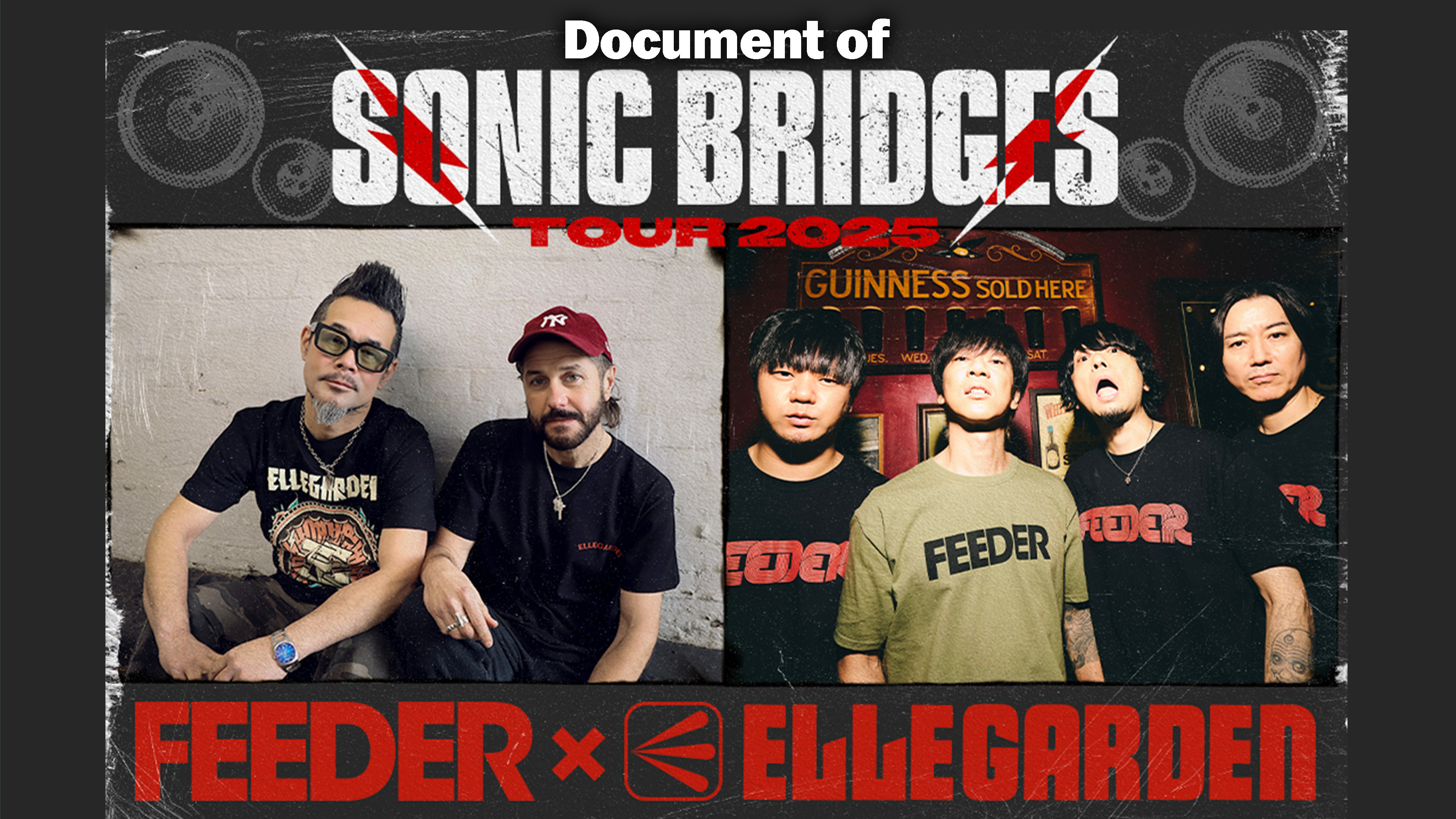 Document of FEEDER x ELLEGARDEN Sonic Bridges Tour 2025 | WOWOW