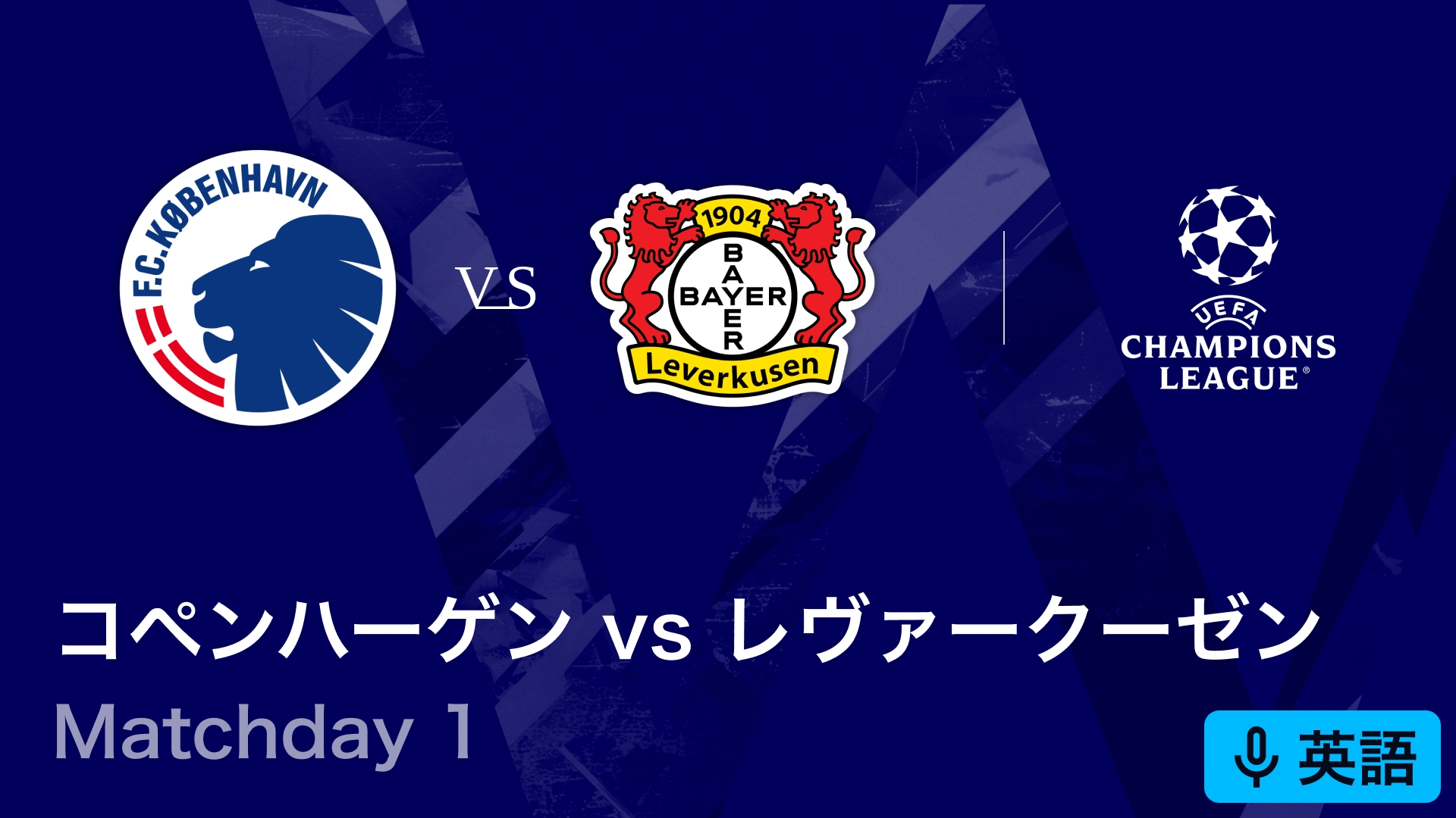FCコペンハーゲンvsバーゼルFC チャンピオンズリーグ　応援マフラー FCコペンハーゲンvsバーゼルFC チャンピオンズリーグ 応援