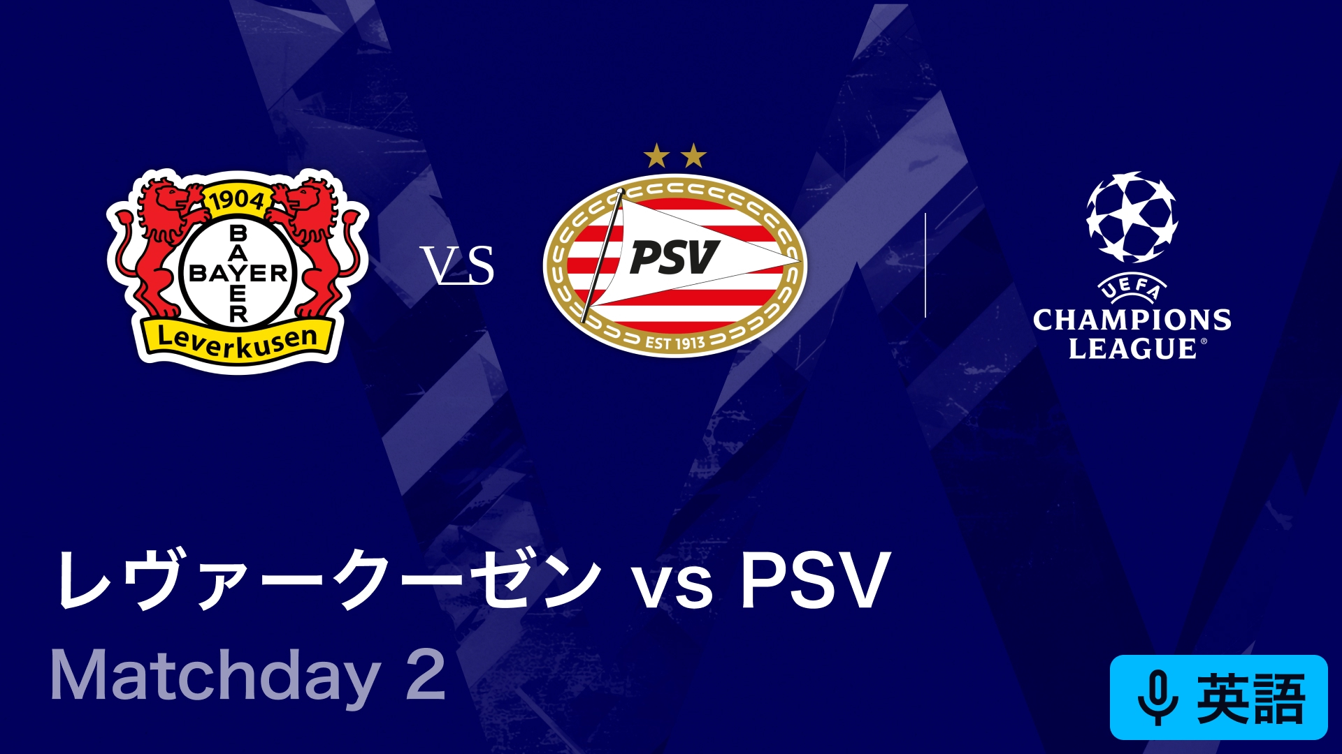 オフィシャル 95-96 チャンピオンズリーグ パッチ lextra