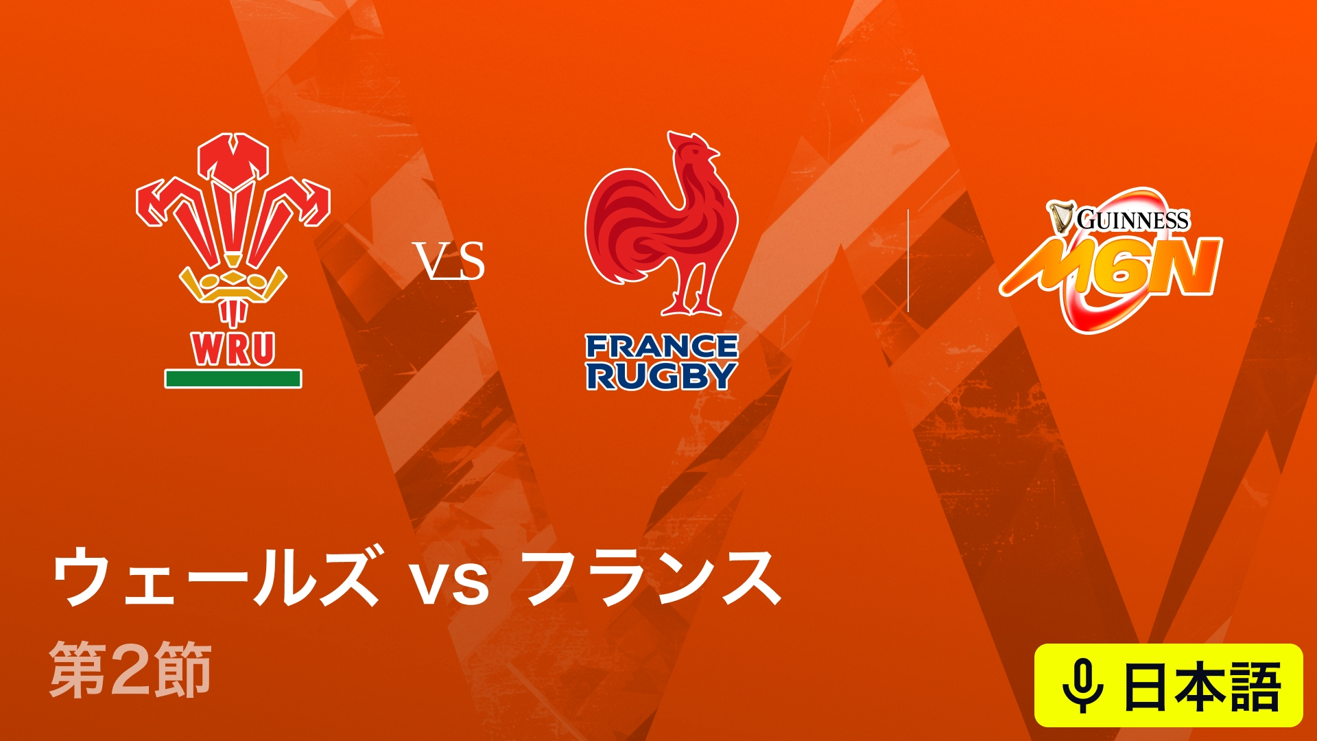 ラグビー欧州6カ国対抗戦 シックス・ネーションズ 第2節 ウェールズvs