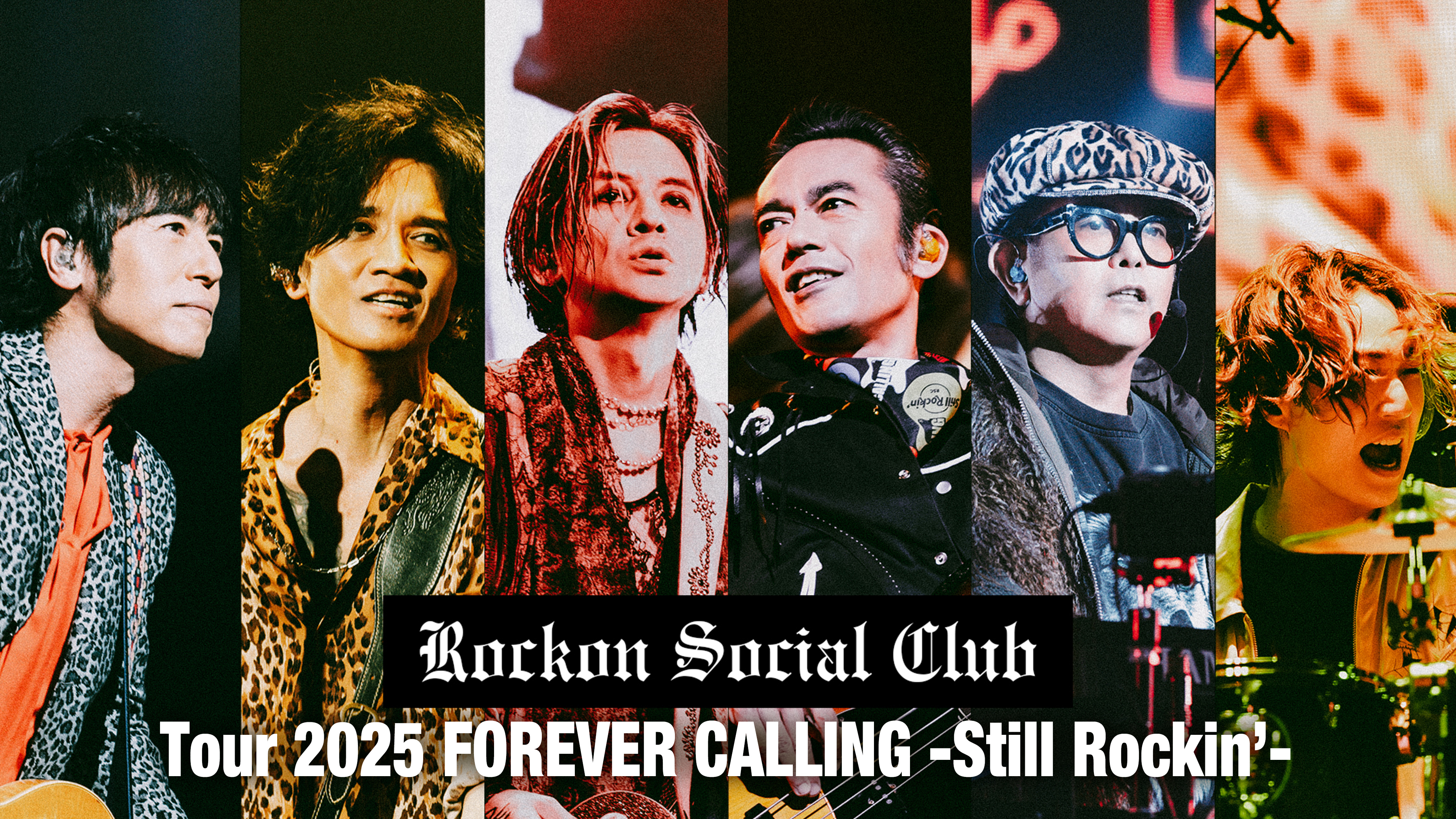 Rockon Social Club Tour 2025 FOREVER CALLING -Still Rockin