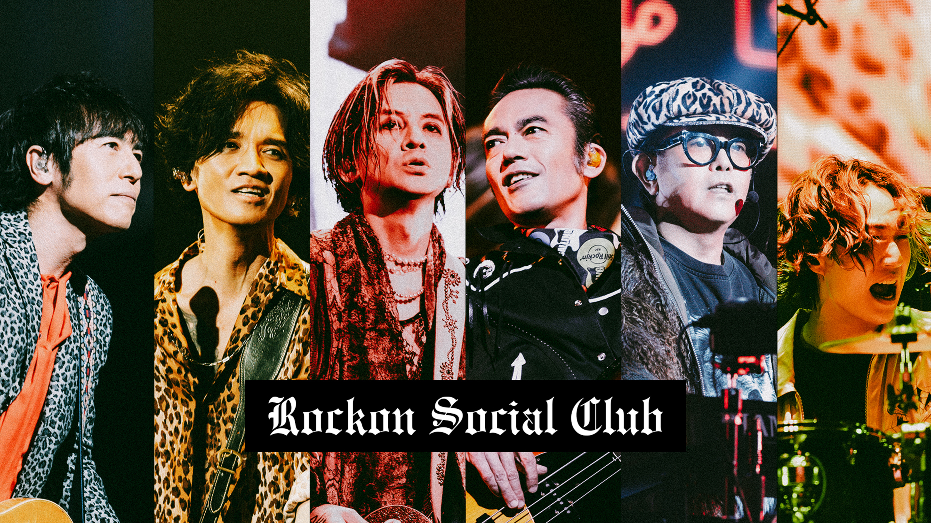 ミュージック Rockon Social Club FOREVER CALLING DVD Rockon Social Club Tour 2025 FOREVER CALLING -Still Rockin'- #1