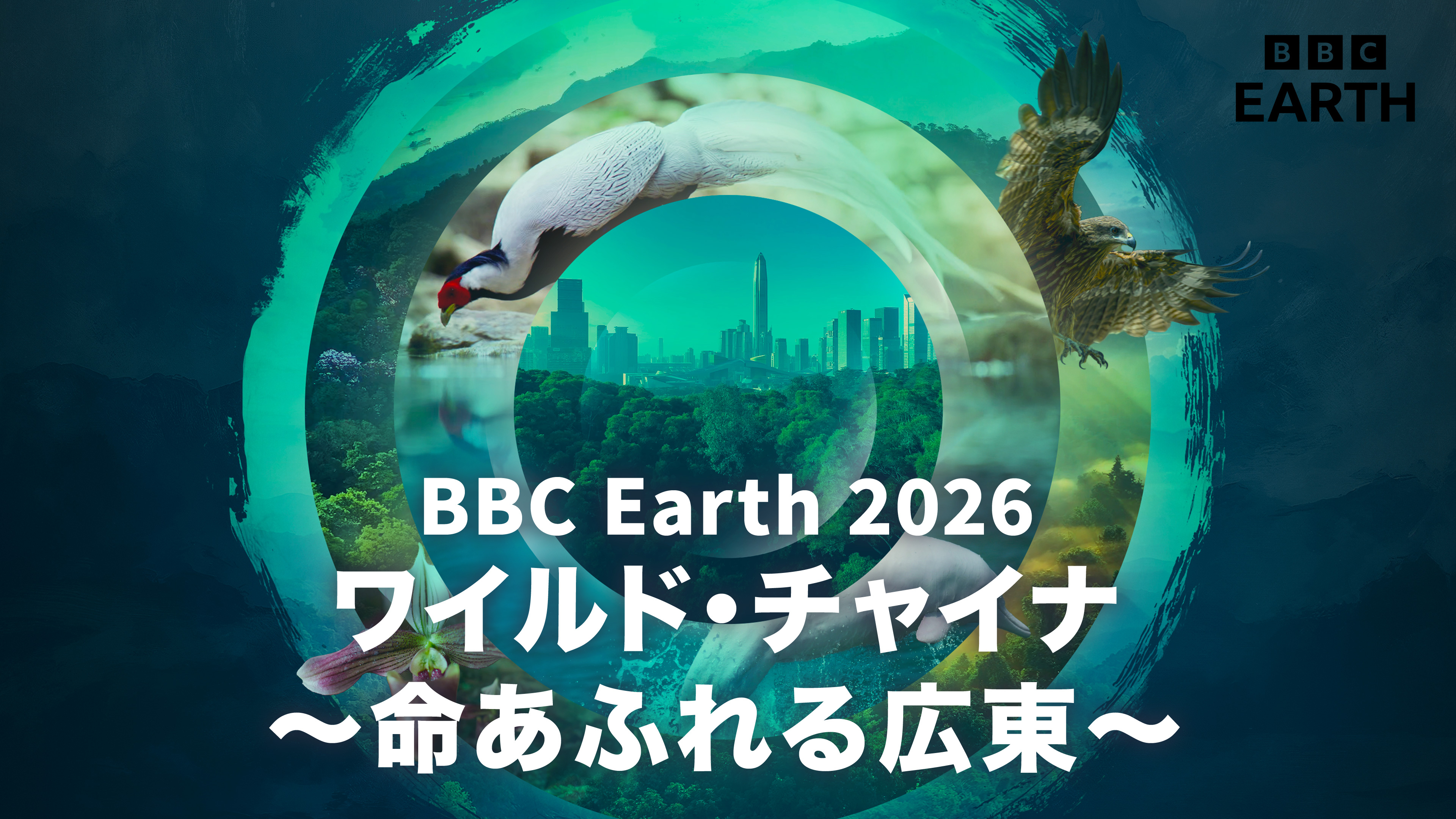 BBC Earth 2026 ワイルド・チャイナ～命あふれる広東～ | WOWOWオン