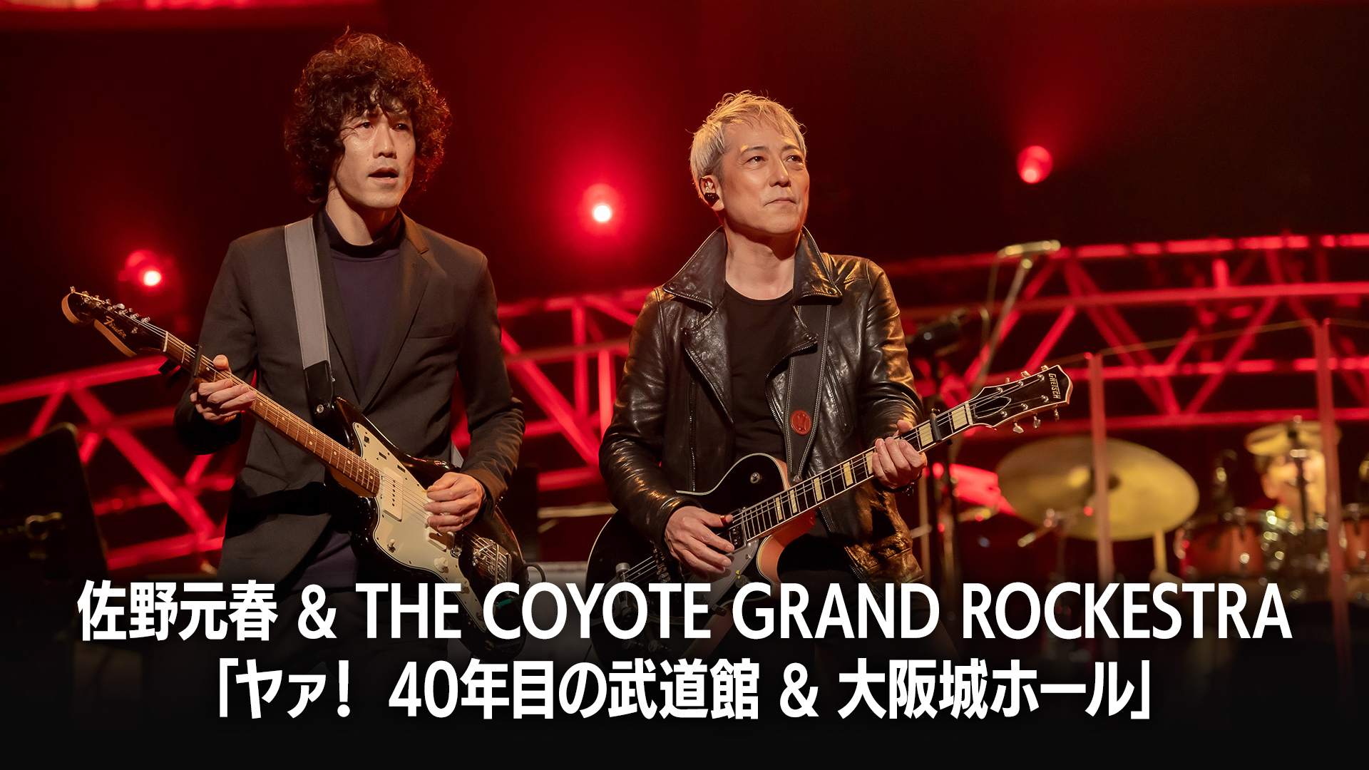佐野元春 & THE COYOTE GRAND ROCKESTRA「ヤァ！ 40年目の武道館
