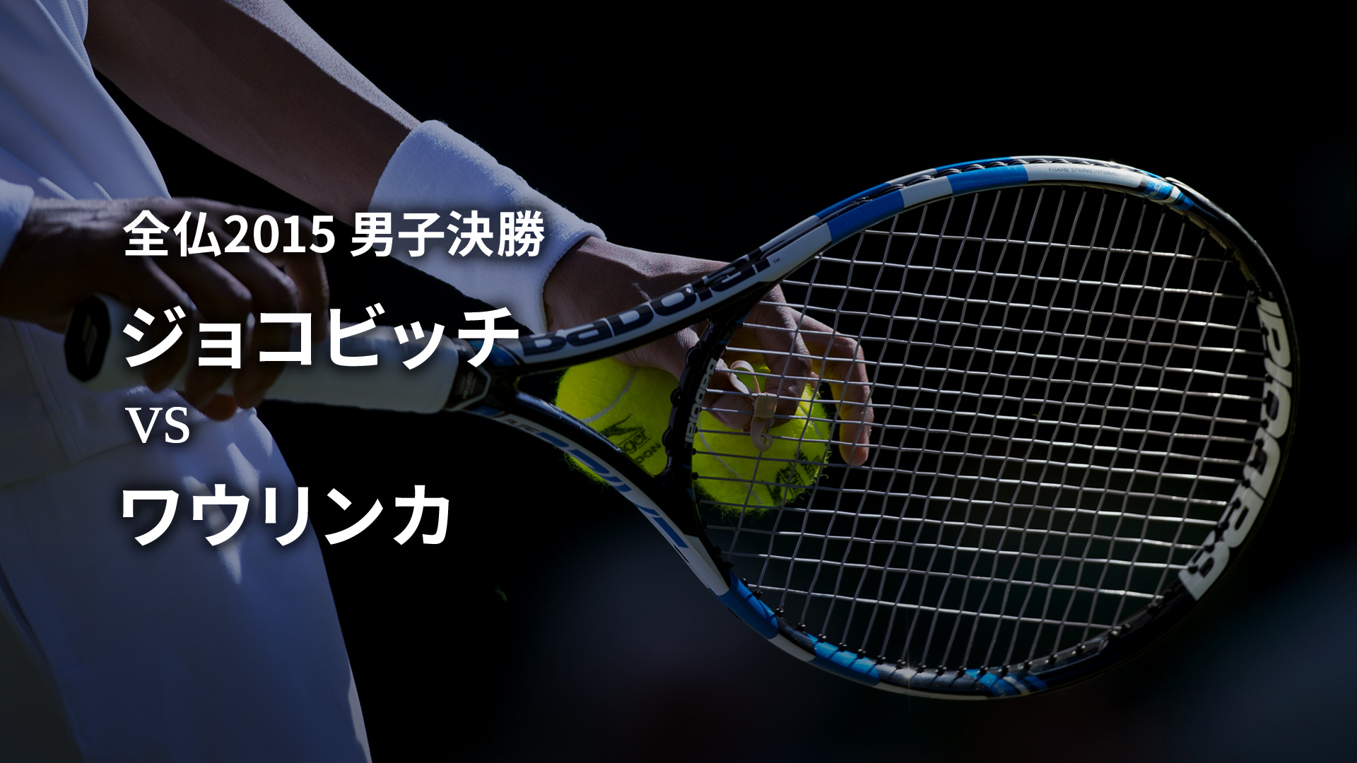 テニスグランドスラム名勝負選 男子決勝 全仏2015 ジョコビッチ