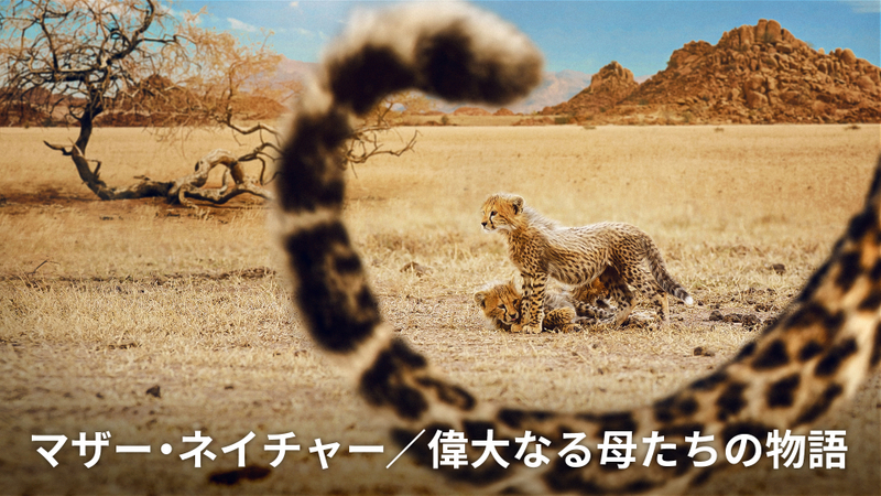 マザー・ネイチャー／偉大なる母たちの物語 WOWOWオンデマンドで見る