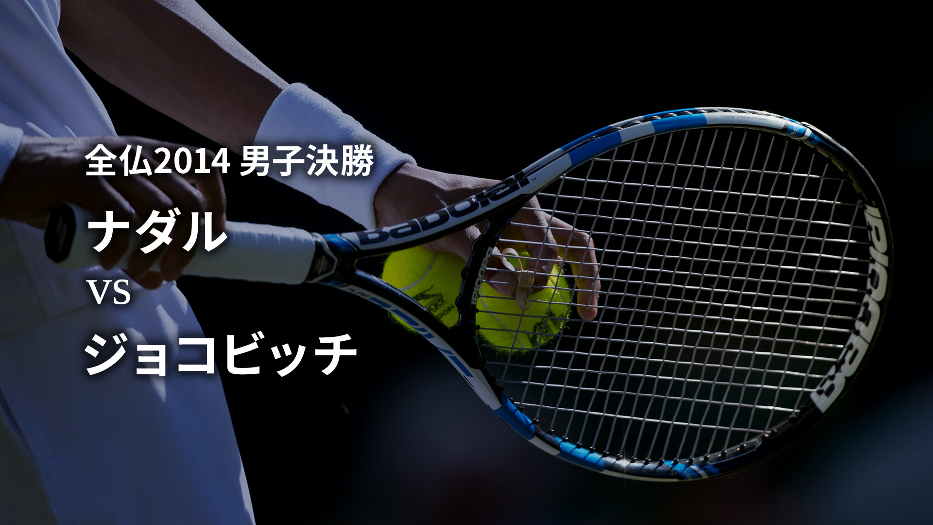 テニスグランドスラム名勝負選 男子決勝 全仏2014 ナダルvs