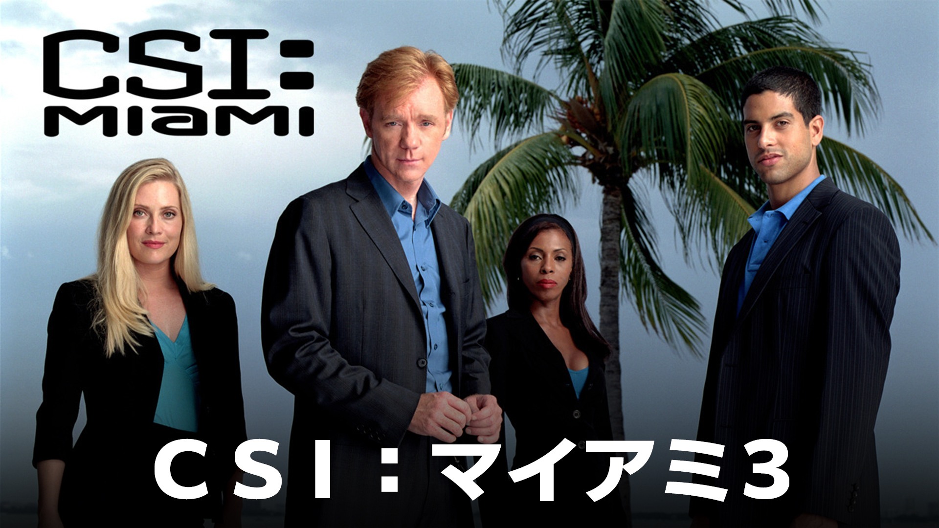 CSI：マイアミ3 | WOWOWオンデマンドで見る