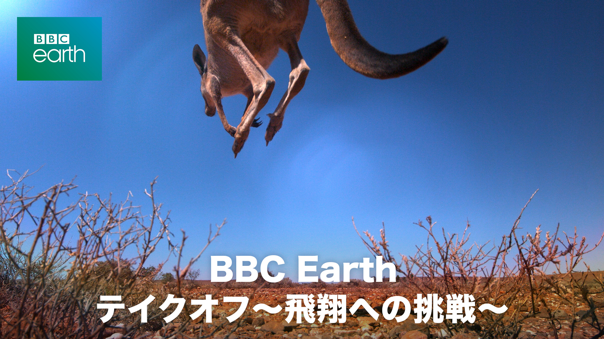 BBC Earth テイクオフ～飛翔への挑戦～ | WOWOWオンデマンドで見る