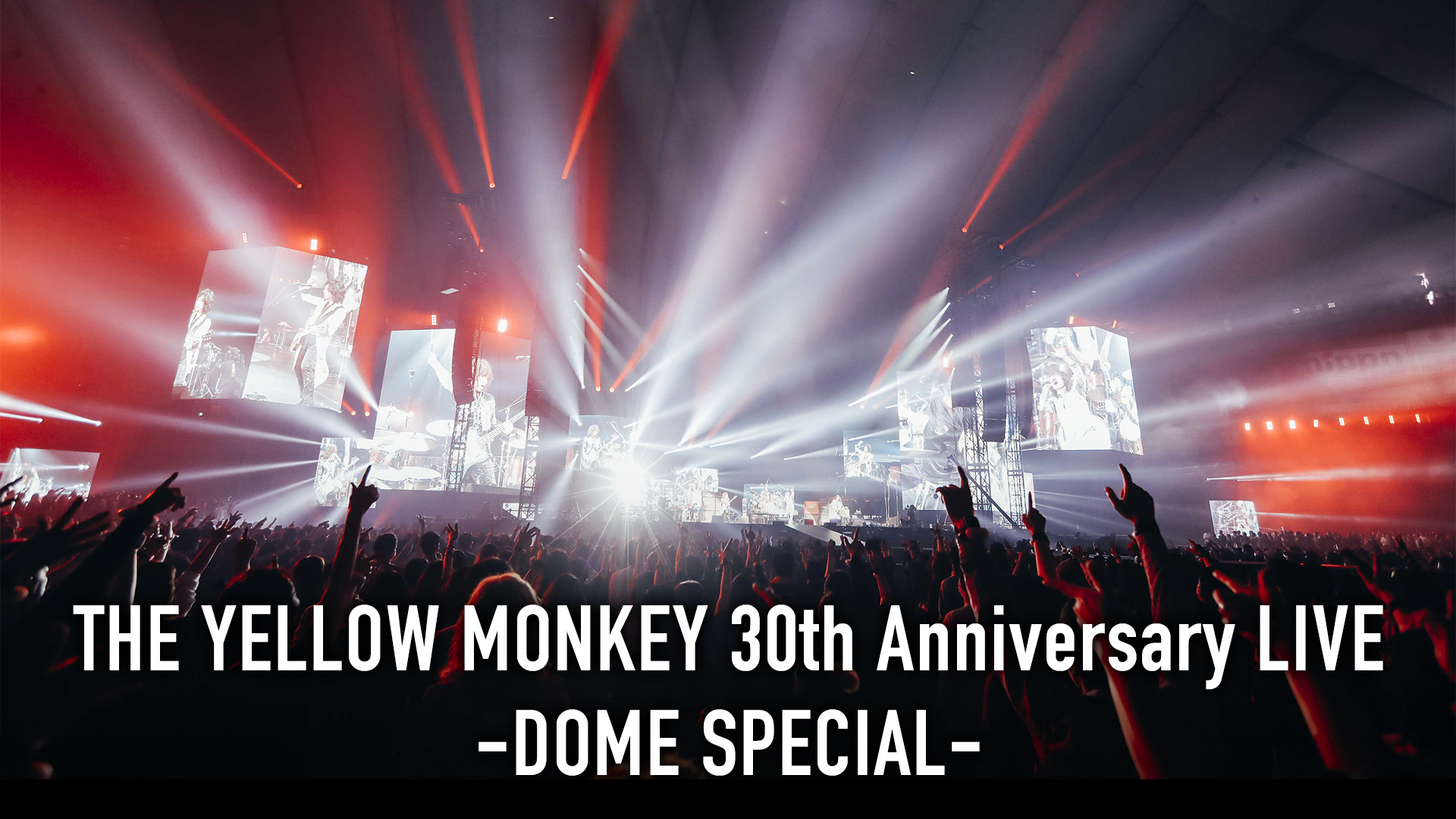 THE YELLOW MONKEY 30th Anniversary LIVE -DOME SPECIAL- | WOWOWオンデマンドで見る